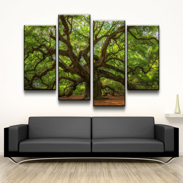 Angel Oak Tree - Amazing Canvas Prints